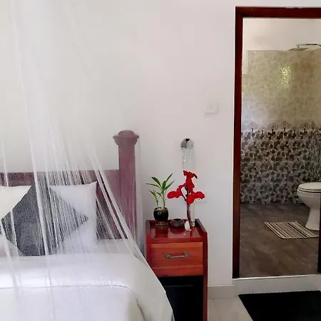 Tantra Ella Lodge Extérieur photo